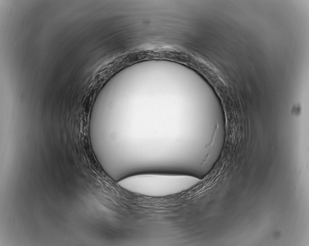 X0000099930966200805230956
