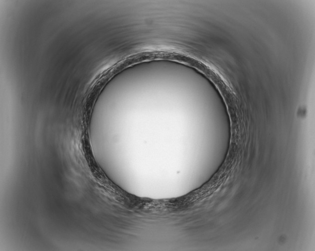 X0000099930967200805230956
