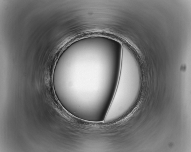 X0000099930969200805230956