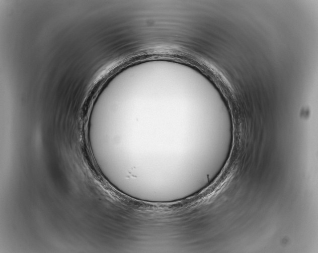X0000099930970200805230956