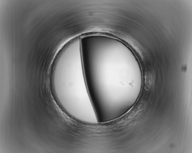 X0000099930972200805230956