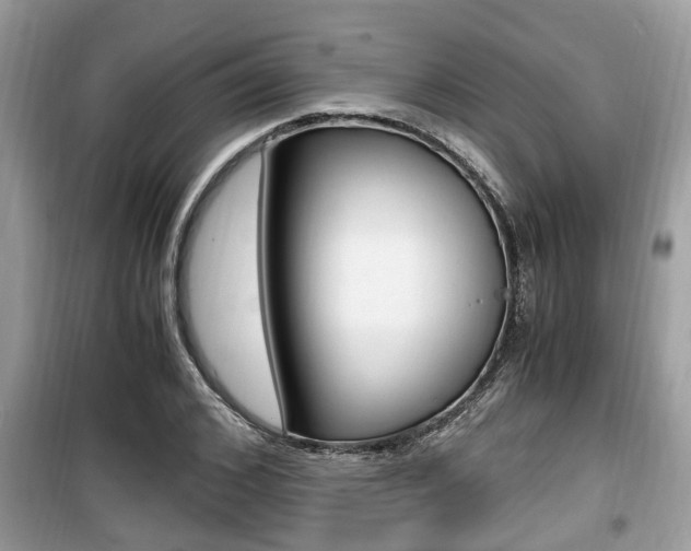 X0000099930976200805230955