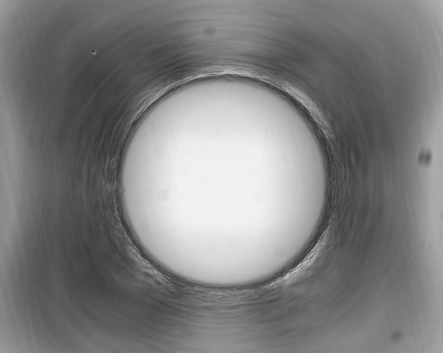X0000099930977200805230955