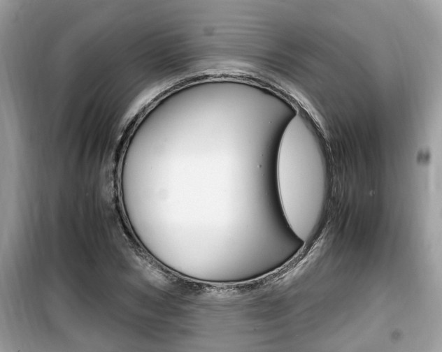 X0000099930978200805230955