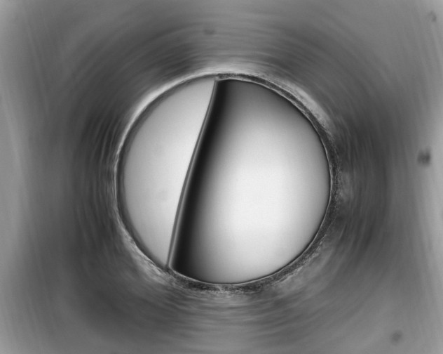 X0000099930980200805230955