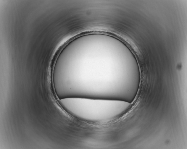 X0000099930982200805230955