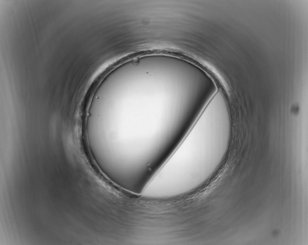 X0000099930983200805230955