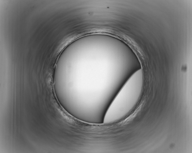 X0000099930985200805230955