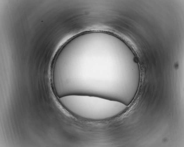 X0000099930990200805230955