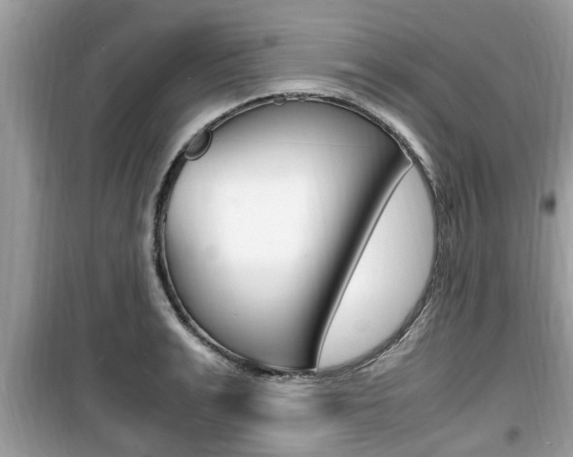 X0000099930991200805230955