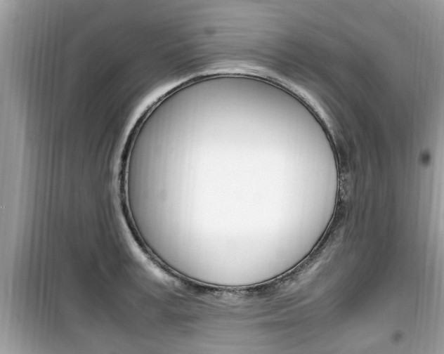 X0000099930995200805230955