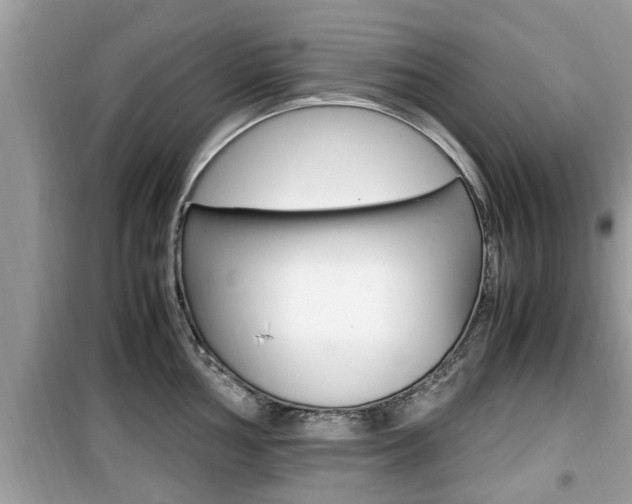 X0000099931002200805230955