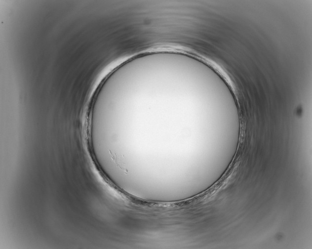 X0000099931003200805230955