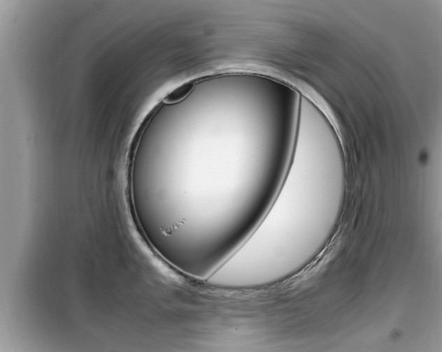 X0000099931005200805230955