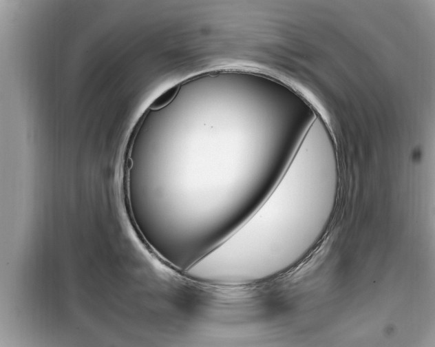 X0000099931007200805230955