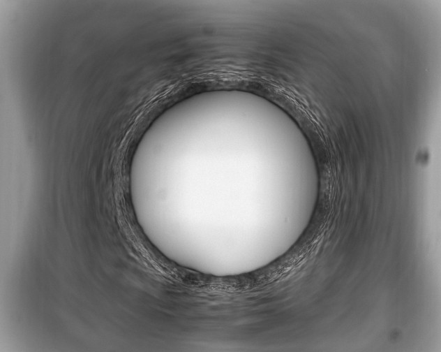 X0000099931009200805230954