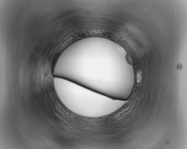 X0000099931011200805230954