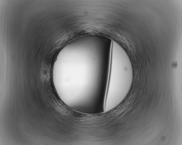 X0000099931012200805230954