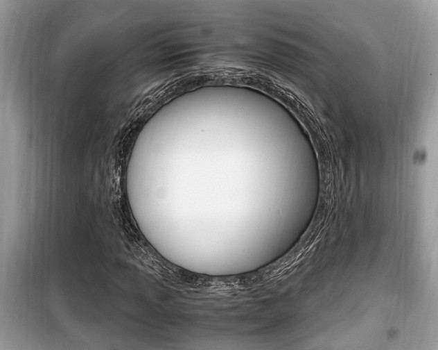 X0000099931013200805230955