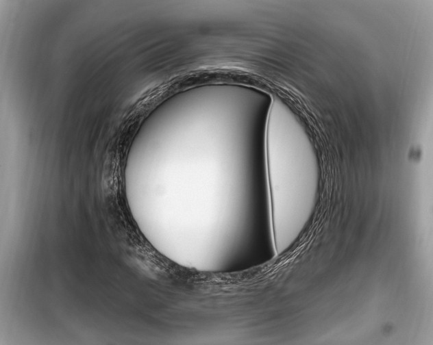 X0000099931014200805230955