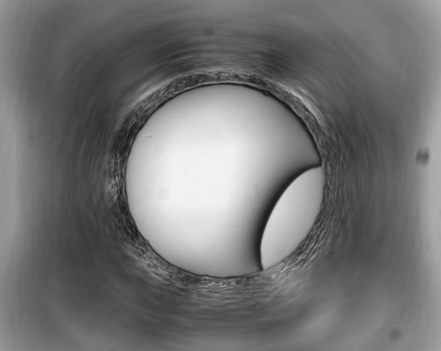X0000099931015200805230955