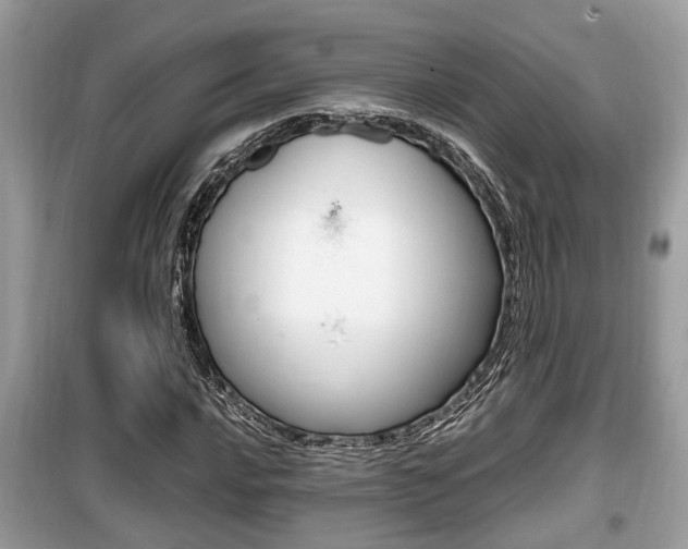 X0000099931016200805230955