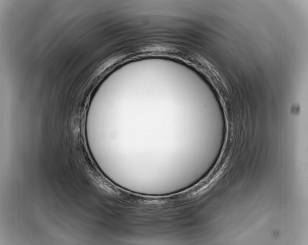 X0000099931017200805230955