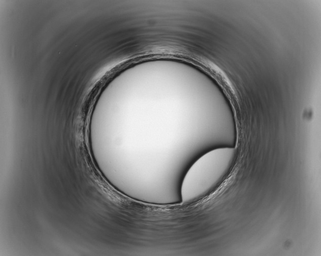X0000099931019200805230955