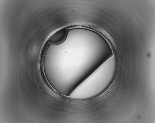 X0000099931020200805230955