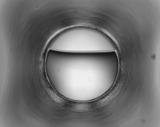 X0000099931021200805230955