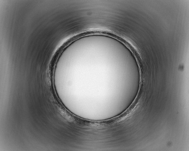 X0000099931022200805230955