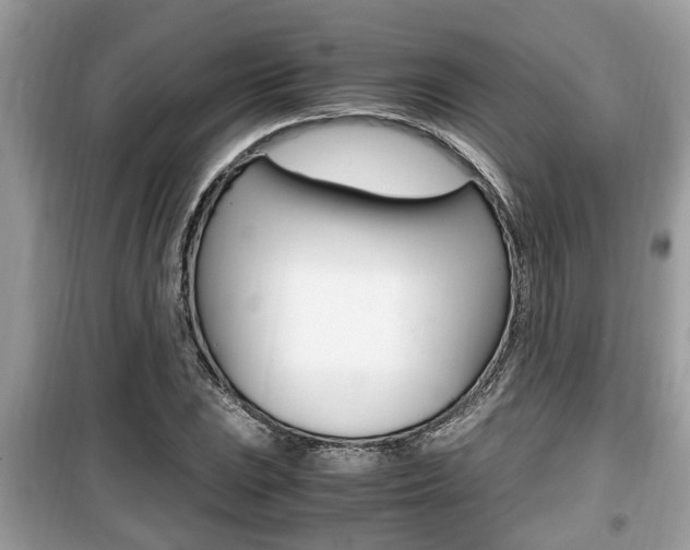 X0000099931023200805230955