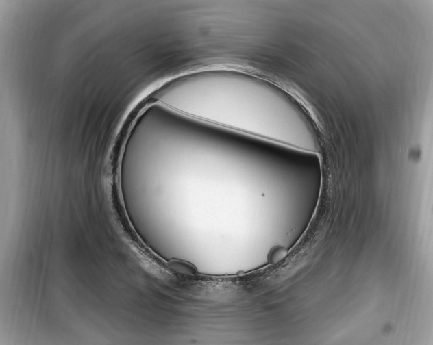 X0000099931024200805230955