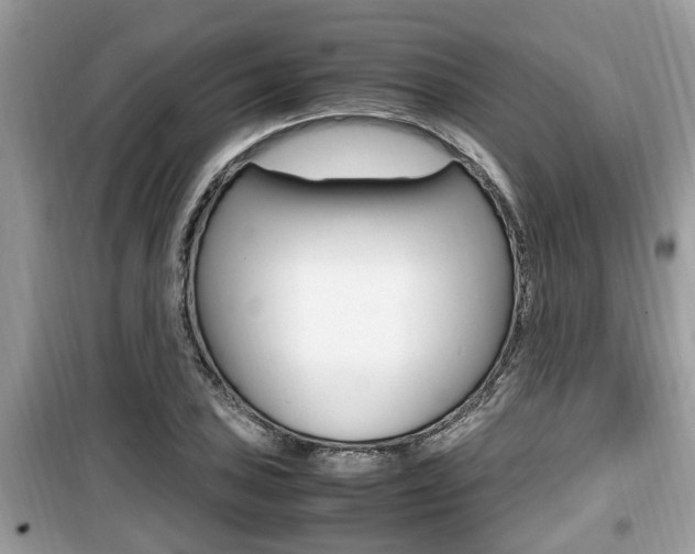 X0000099931027200805230955