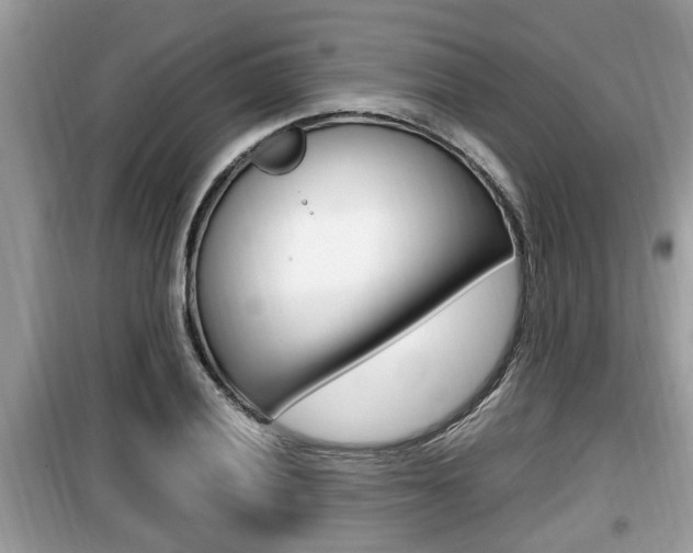 X0000099931028200805230955