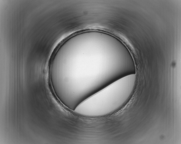 X0000099931032200805230955
