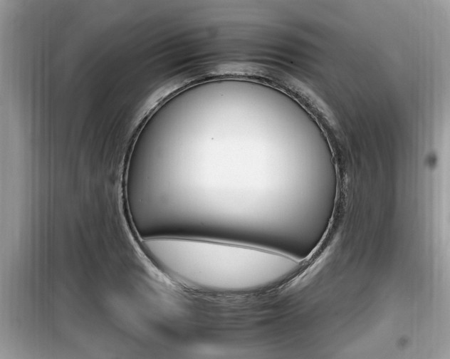 X0000099931033200805230955
