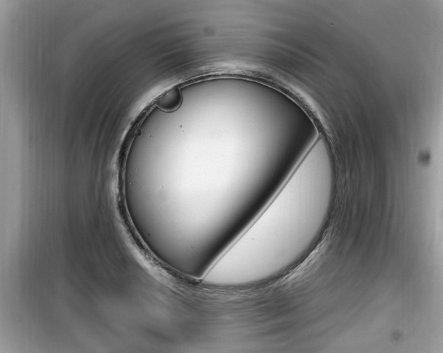 X0000099931034200805230955