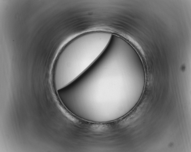 X0000099931037200805230955