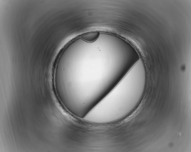 X0000099931038200805230955