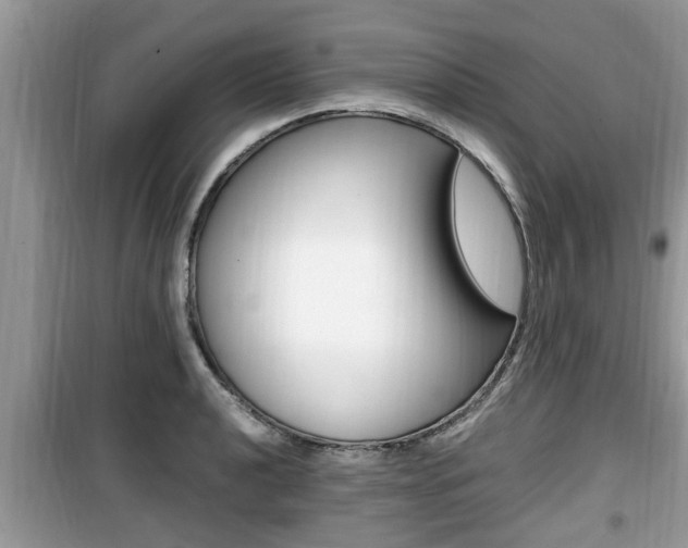 X0000099931040200805230955
