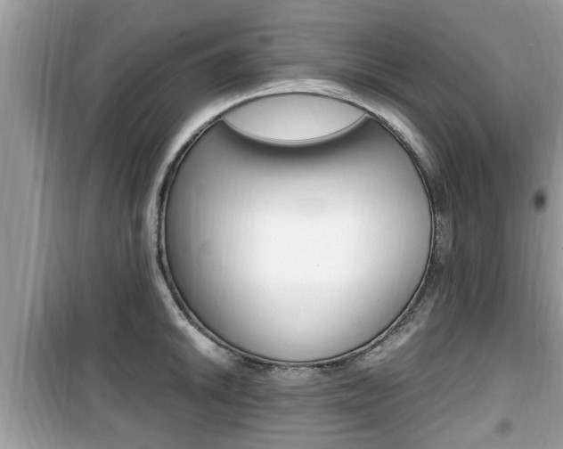 X0000099931046200805230955