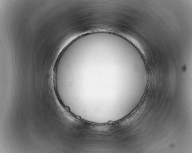 X0000099931047200805230955