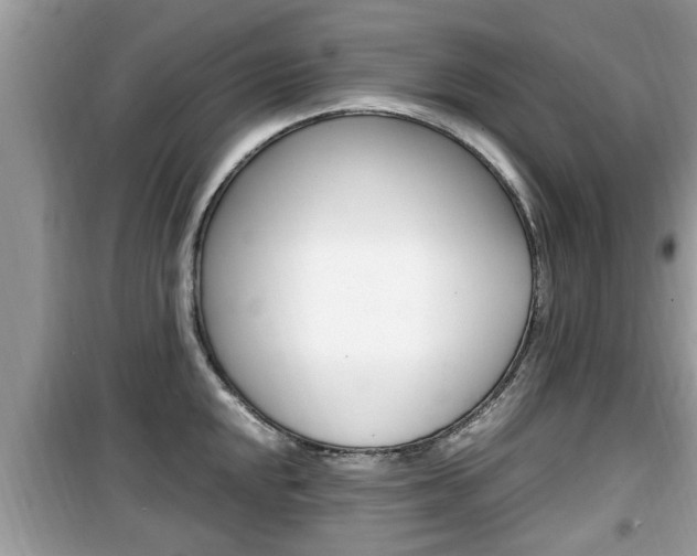 X0000099931048200805230955