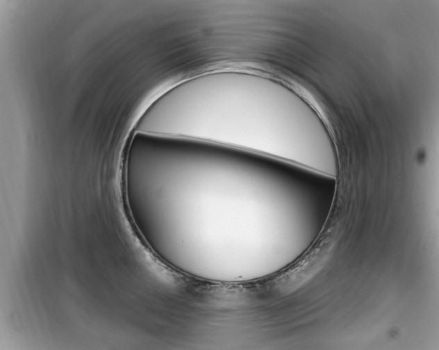 X0000099931050200805230955