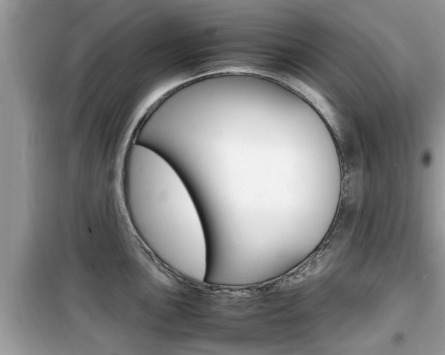 X0000099931051200805230955