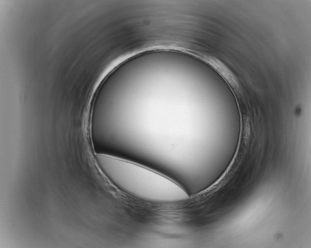 X0000099931052200805230955