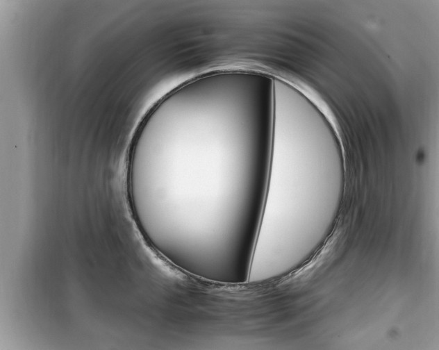 X0000099931053200805230955