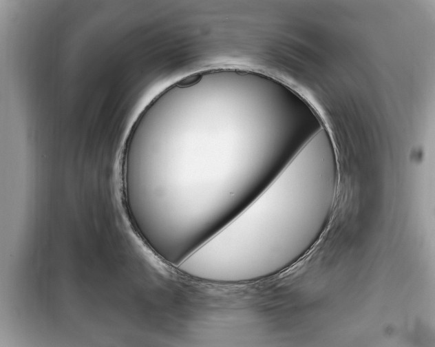 X0000099931056200805230955