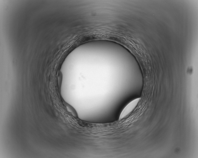 X0000099931057200805230954